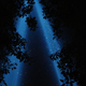 Illustration for article titled 51 Radiant Ray Wallpapers
